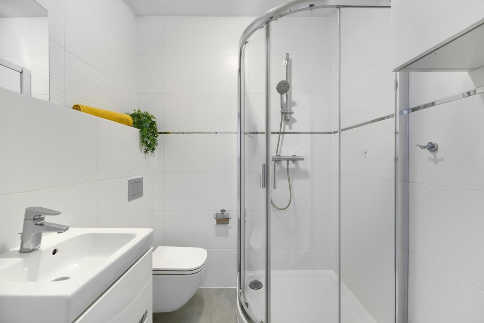 Apartment Spacious In The Heart Of Poznan